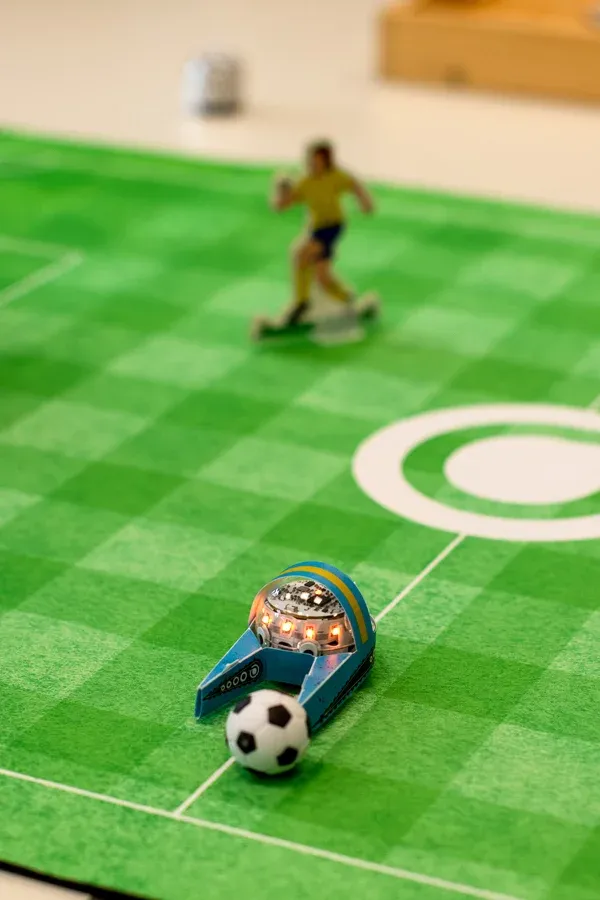 MINT.Erlebnistag 2026