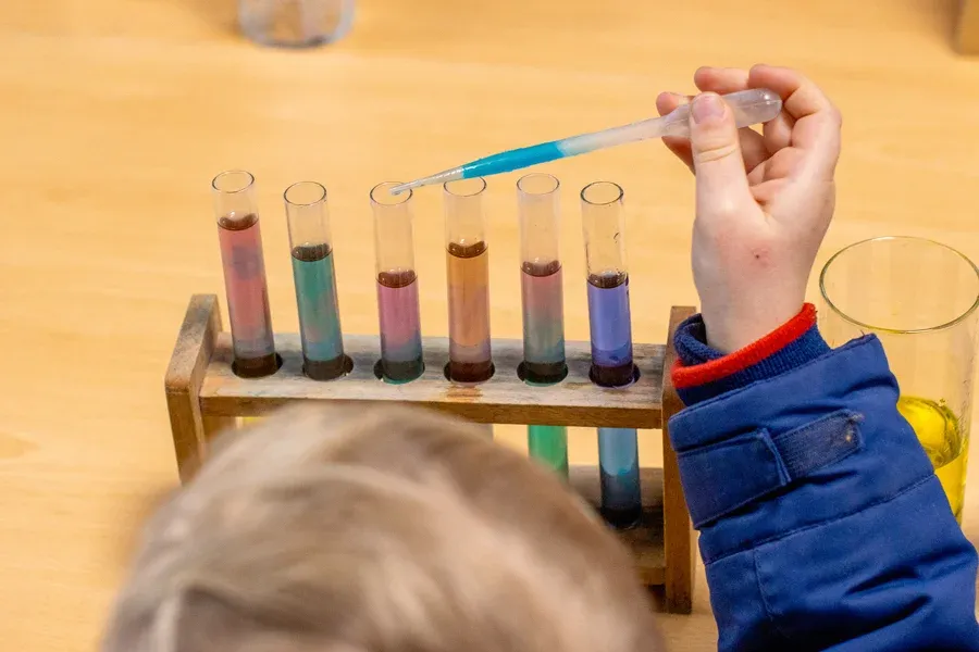 MINT.Erlebnistag 2026