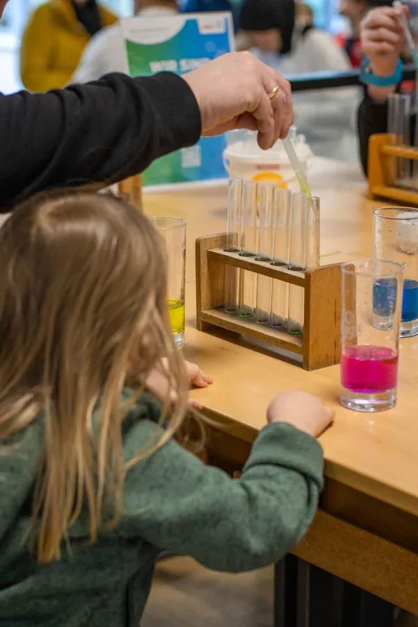 MINT.Erlebnistag 2026