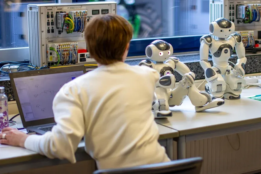 MINT.Erlebnistag 2026