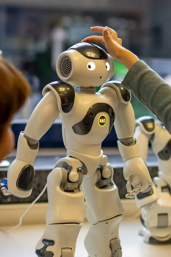 MINT.Erlebnistag 2026