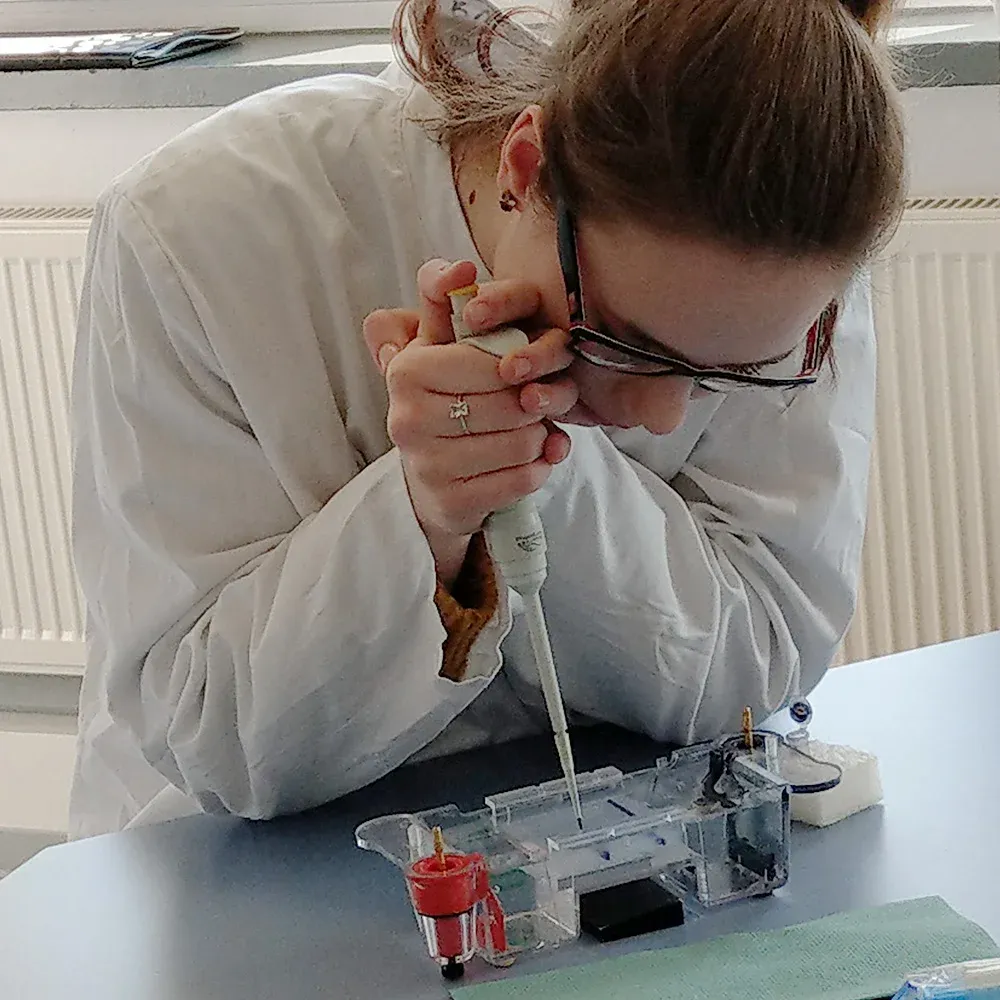 biolabor brakel schuelerkurs tierarten pcr fdf0f76a biolabor brakel schuelerkurs tierarten pcr